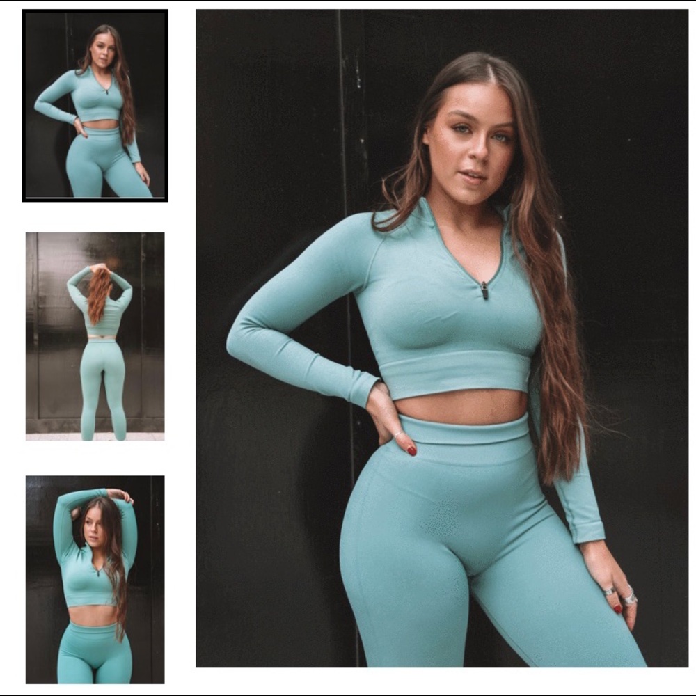 TALA Aster Crop